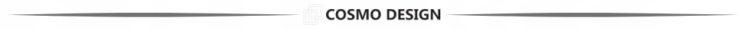 SEPERATOR COSMO.png