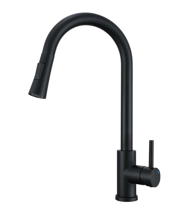 EDERA full black.jpg