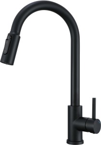 CAMELLIA full black.jpg