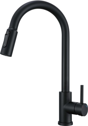 CAMELLIA full black.jpg