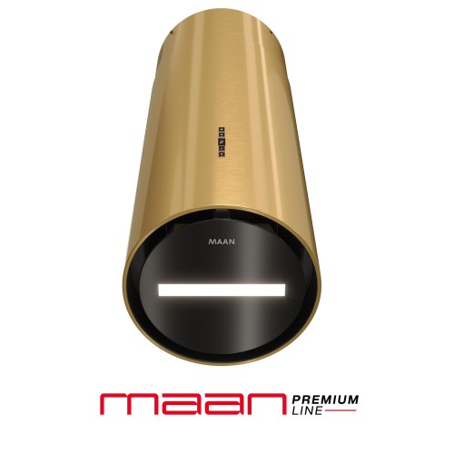 malwa_31_gold_3.jpg