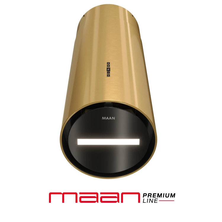 malwa_31_gold_3.jpg