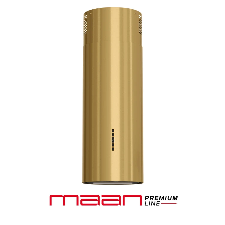malwa_31_gold_1.jpg