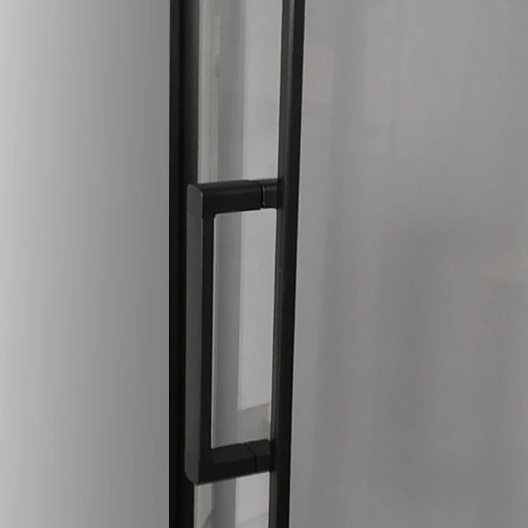 Wega-BL.jpg